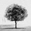 Picture of STOIC TREE I