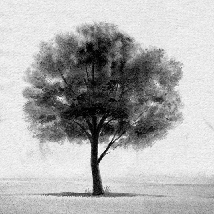 Picture of STOIC TREE II