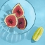 Picture of AUGUST FRUIT I