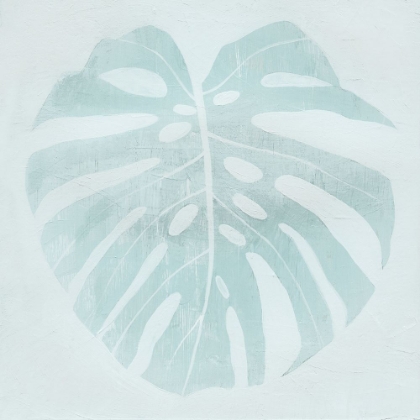 Picture of MONSTERA SHADOW I