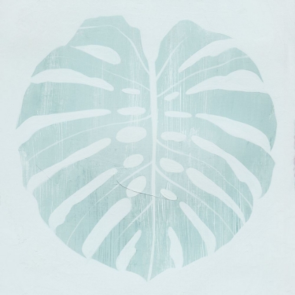 Picture of MONSTERA SHADOW II