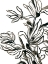 Picture of KELP CONTOUR III