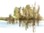 Picture of BAYOU STUDY II