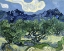 Picture of OLIVE TREES WITH THE ALPILLES IN THE BACKGROUND