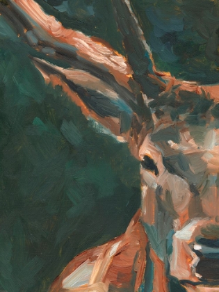 Picture of CROPPED WESTERN STUDY II