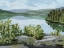 Picture of LAKE OVERLOOK II