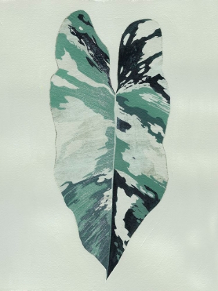 Picture of VARIEGATED I