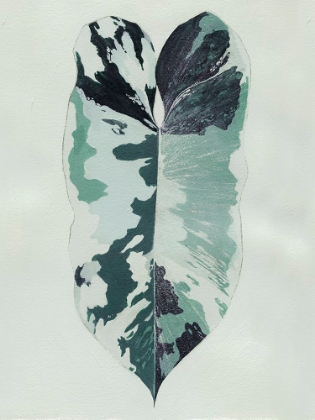 Picture of VARIEGATED II