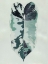 Picture of VARIEGATED II
