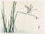 Picture of KONO BAIREI DRAGONFLIES I