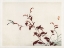 Picture of KONO BAIREI DRAGONFLIES II