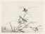 Picture of KONO BAIREI DRAGONFLIES III