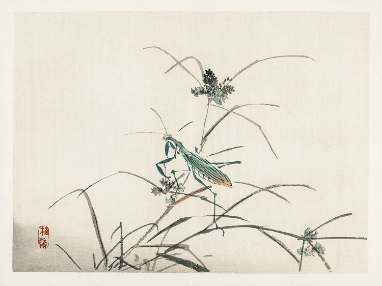 Picture of KONO BAIREI DRAGONFLIES III