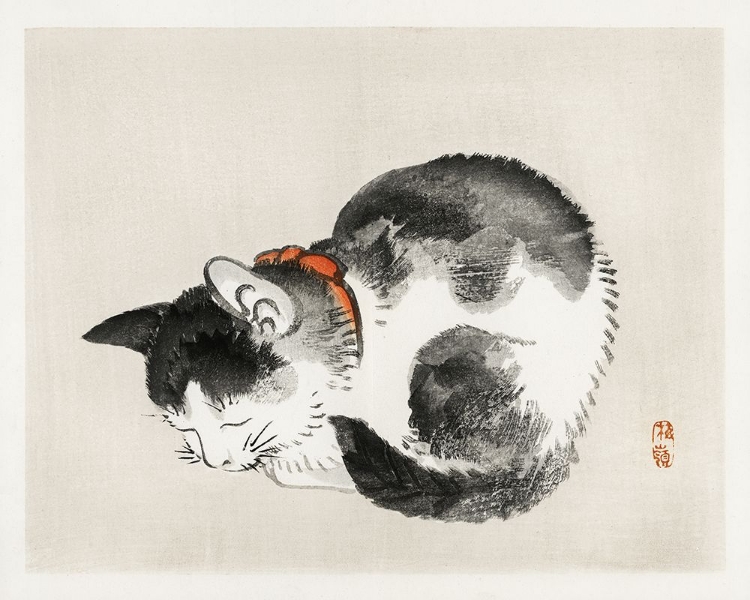 Picture of KONO BAIREI CAT I