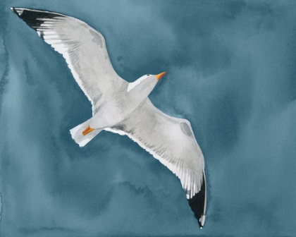 Picture of GULL IN A GALE I