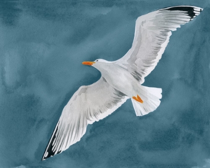 Picture of GULL IN A GALE II
