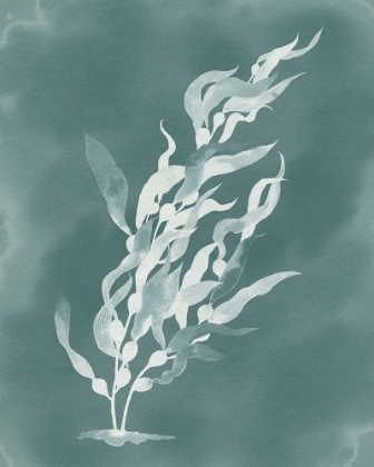 Picture of GHOST KELP I