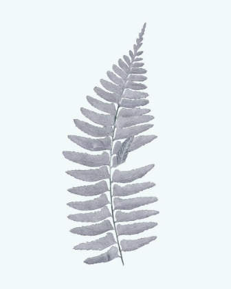 Picture of ANTIQUE SILVER FERNS I