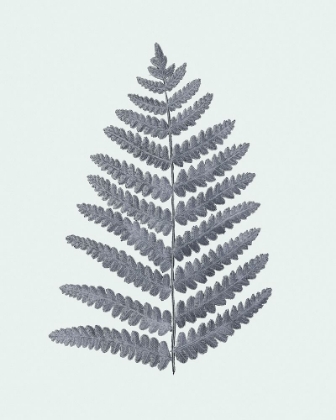 Picture of ANTIQUE SILVER FERNS II