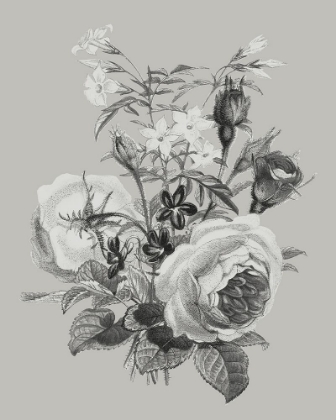 Picture of ANTIQUE FLORAL SPRAY III
