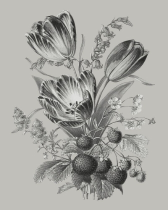 Picture of ANTIQUE FLORAL SPRAY IV