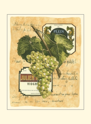 Picture of SMALL WHITE GRAPES I