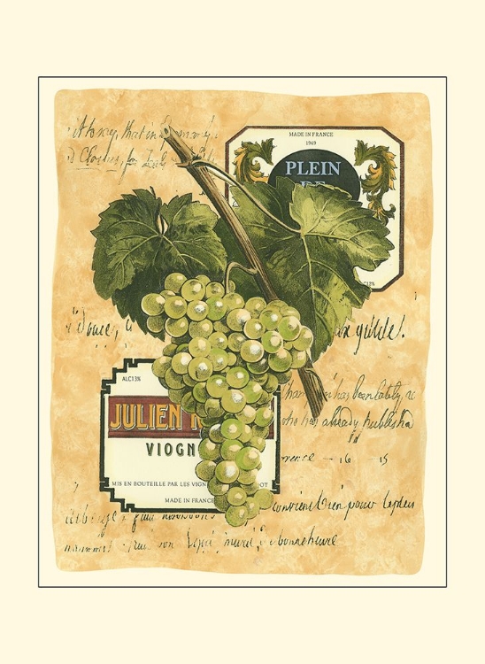 Picture of SMALL WHITE GRAPES I