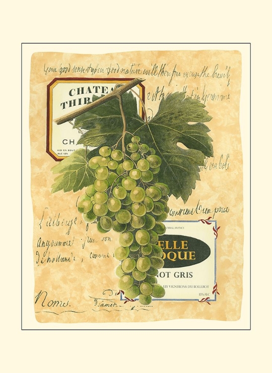 Picture of SMALL WHITE GRAPES II