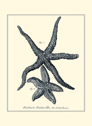 Picture of INDIGO STARFISH I