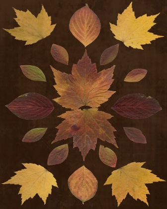 Picture of KALEIDOSCOPE LEAVES VI