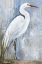 Picture of WHITE EGERT