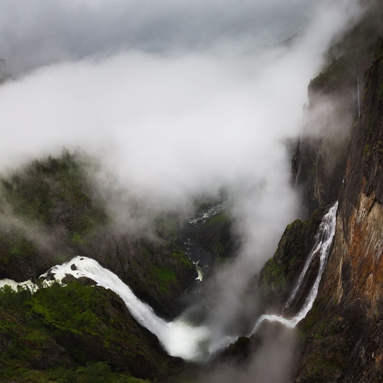 Picture of AMONG THE CLOUDS