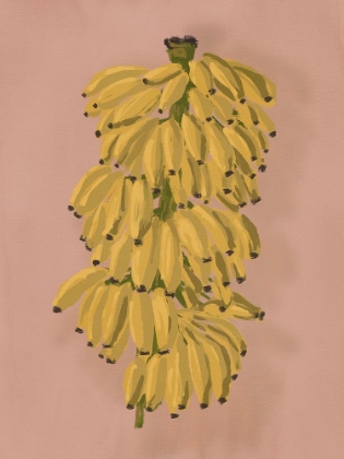 Picture of PLATANO II PINK