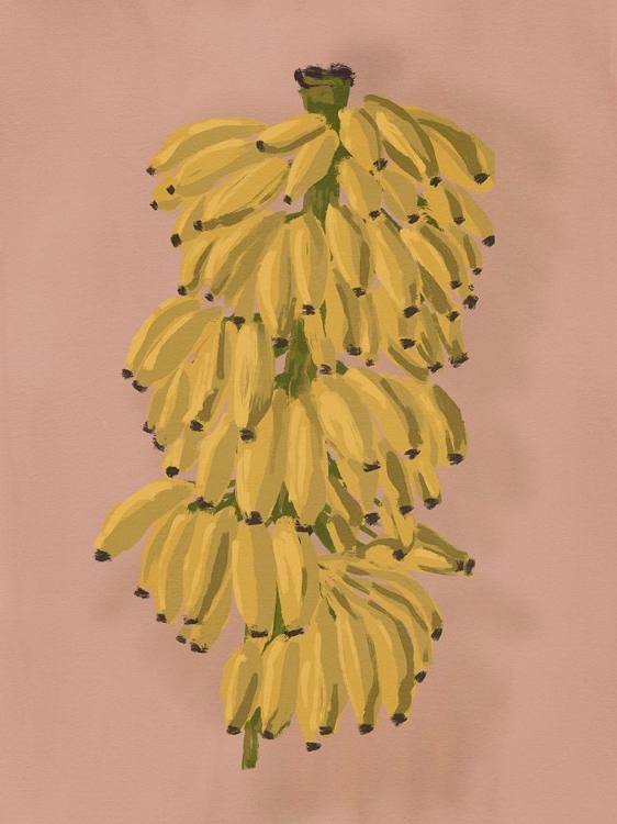 Picture of PLATANO II PINK