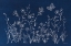 Picture of BLUE BUTTERFLY GARDEN