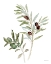 Picture of MEDITERRANEAN MOTIF IX ON WHITE