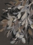 Picture of LIVELY BRANCHES