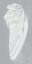 Picture of WINGS III ON GRAY FLIPPED