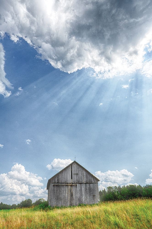 Picture of BARN RAYS