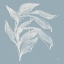 Picture of BRANCH I SLATE BLUE