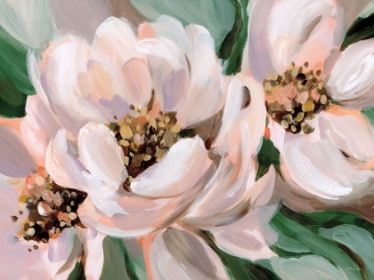Picture of BLUSH PEONIES
