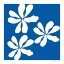 Picture of FLEURS DE MATISSE I SQ