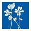 Picture of FLEURS DE MATISSE II SQ