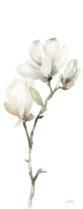 Picture of WHITE MAGNOLIA II PANEL