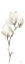 Picture of WHITE MAGNOLIA II PANEL