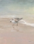 Picture of SHOREBIRDS ON THE SAND III