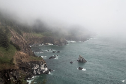 Picture of COASTAL FOG I