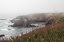 Picture of COASTAL FOG II