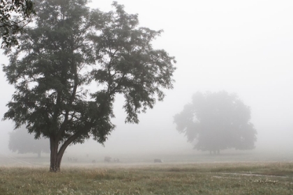 Picture of MORNING FOG I