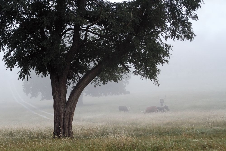 Picture of MORNING FOG II